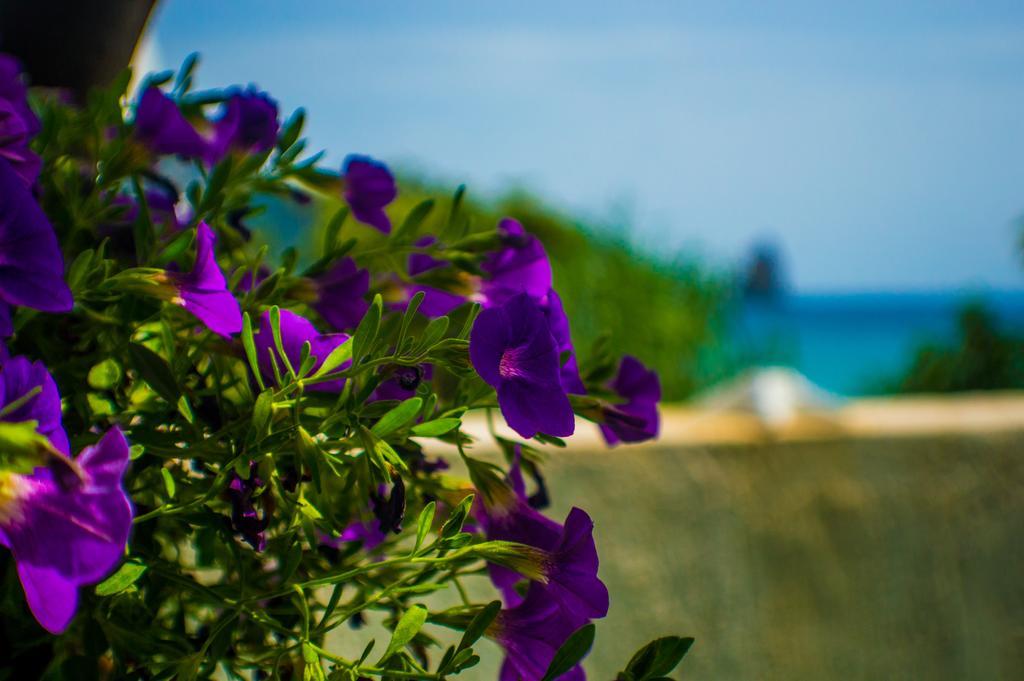 Agathi Beach House Агиос Гордиос Екстериор снимка