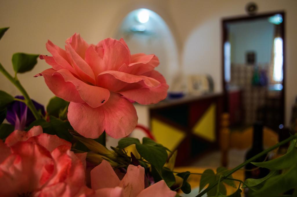 Agathi Beach House Агиос Гордиос Екстериор снимка